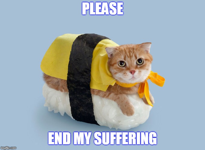 I Have No Purr-pose in Life | PLEASE; END MY SUFFERING | image tagged in memes,gifs,cat,sushi,halloween,costume | made w/ Imgflip meme maker