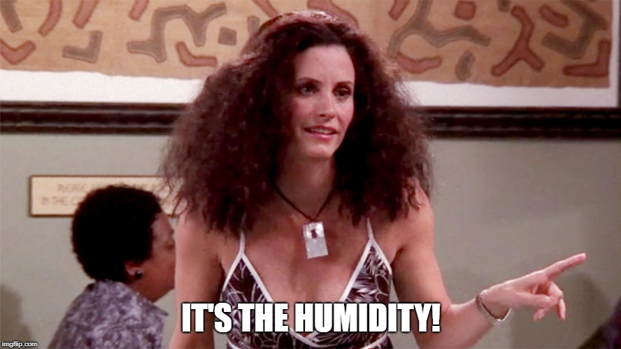 IT'S THE HUMIDITY! | made w/ Imgflip meme maker