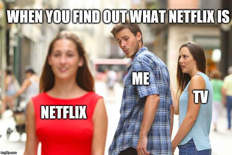 Distracted Boyfriend Meme | WHEN YOU FIND OUT WHAT NETFLIX IS; ME; TV; NETFLIX | image tagged in memes,distracted boyfriend | made w/ Imgflip meme maker