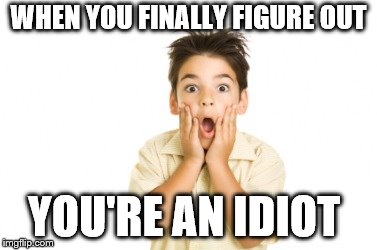 WHEN YOU FINALLY FIGURE OUT; YOU'RE AN IDIOT | image tagged in funny meme | made w/ Imgflip meme maker