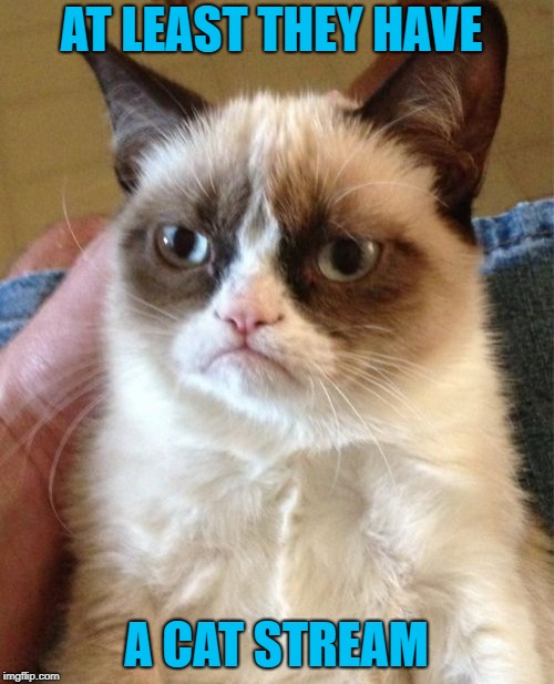 Grumpy Cat Meme | AT LEAST THEY HAVE A CAT STREAM | image tagged in memes,grumpy cat | made w/ Imgflip meme maker