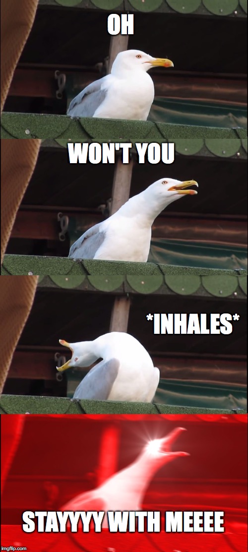 Inhaling Seagull | OH; WON'T YOU; *INHALES*; STAYYYY WITH MEEEE | image tagged in memes,inhaling seagull | made w/ Imgflip meme maker