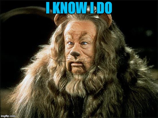 cowardly lion | I KNOW I DO | image tagged in cowardly lion | made w/ Imgflip meme maker
