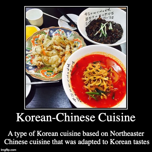 Korean-Chinese Cuisine | image tagged in demotivationals,food | made w/ Imgflip demotivational maker