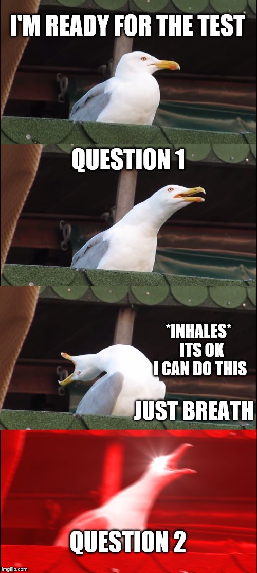 Inhaling Seagull Meme | I'M READY FOR THE TEST; QUESTION 1; *INHALES*  ITS OK I CAN DO THIS; JUST BREATH; QUESTION 2 | image tagged in memes,inhaling seagull | made w/ Imgflip meme maker