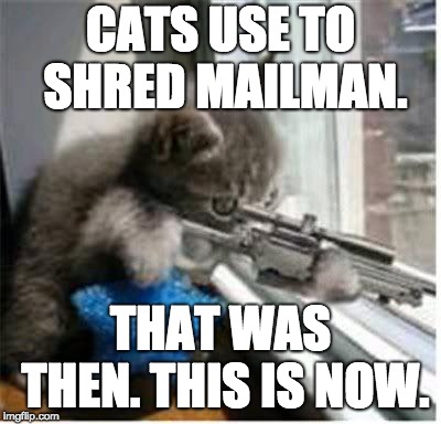 cats with guns | CATS USE TO SHRED MAILMAN. THAT WAS THEN. THIS IS NOW. | image tagged in cats with guns | made w/ Imgflip meme maker