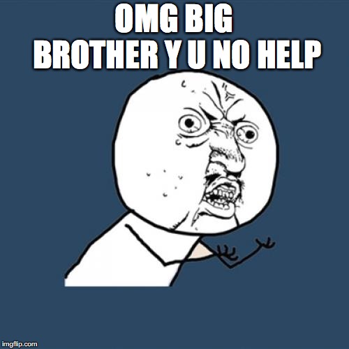 Y U No Meme | OMG BIG BROTHER Y U NO HELP | image tagged in memes,y u no | made w/ Imgflip meme maker