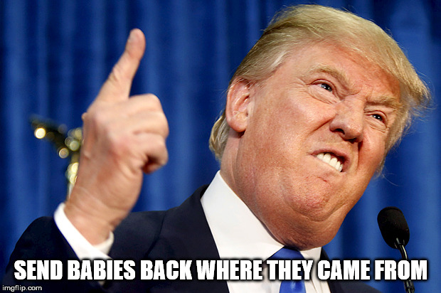 Donald Trump | SEND BABIES BACK WHERE THEY CAME FROM | image tagged in donald trump | made w/ Imgflip meme maker