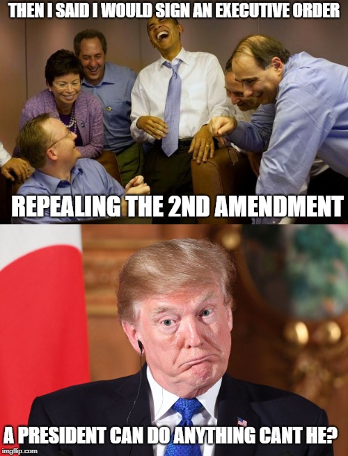 Trump destroying the constitution (trying to anyway) | THEN I SAID I WOULD SIGN AN EXECUTIVE ORDER; REPEALING THE 2ND AMENDMENT; A PRESIDENT CAN DO ANYTHING CANT HE? | image tagged in politics,fourteenth amendment,trump,maga,stupid people | made w/ Imgflip meme maker