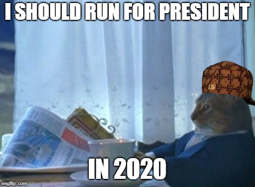 I Should Buy A Boat Cat Meme | I SHOULD RUN FOR PRESIDENT IN 2020 | image tagged in memes,i should buy a boat cat,scumbag | made w/ Imgflip meme maker