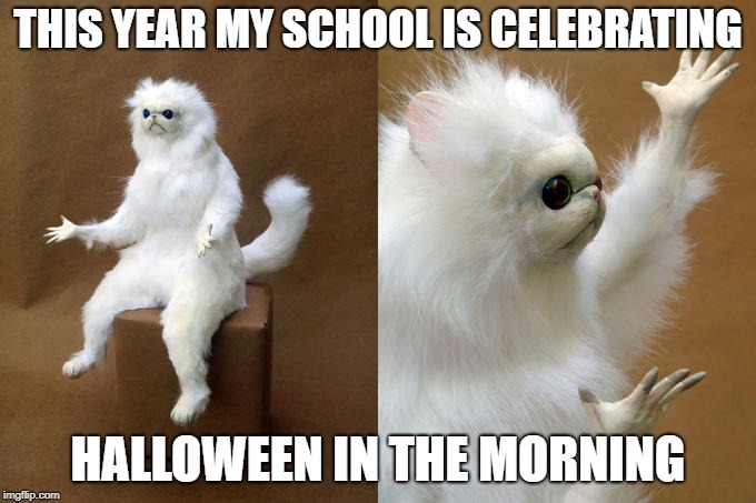 My school is weird | THIS YEAR MY SCHOOL IS CELEBRATING; HALLOWEEN IN THE MORNING | image tagged in memes,persian cat room guardian | made w/ Imgflip meme maker