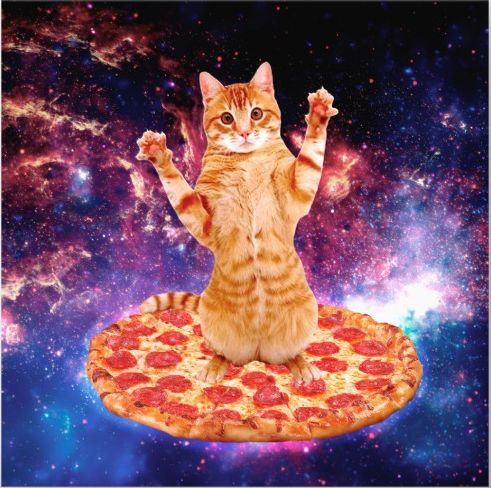High Quality Pizza Cat Space Blank Meme Template