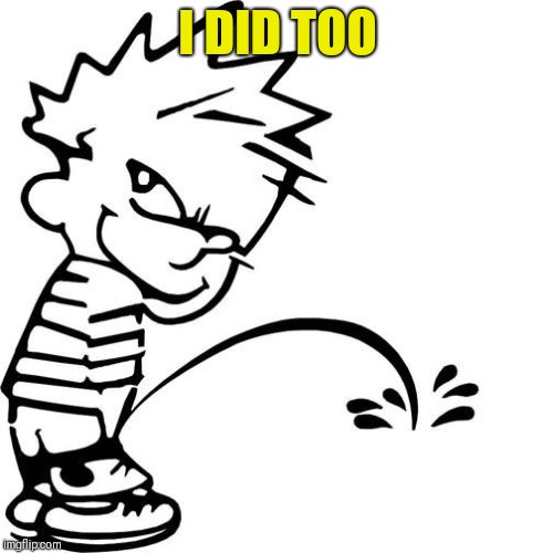 Calvin Peeing | I DID TOO | image tagged in calvin peeing | made w/ Imgflip meme maker