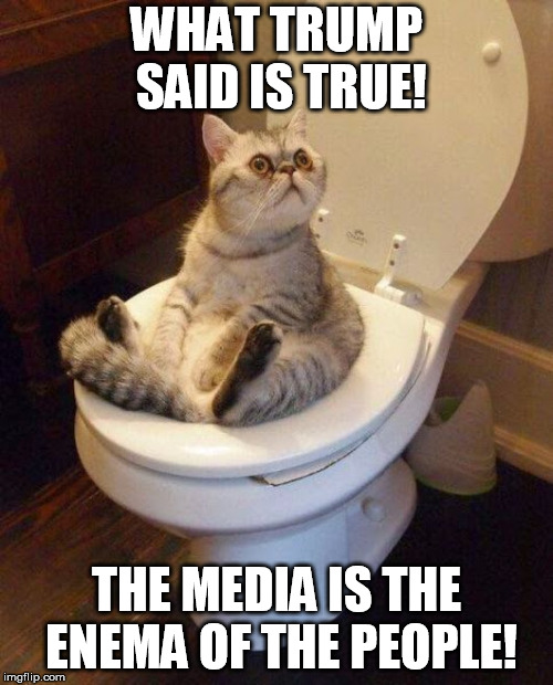 cat sitting on toilet | WHAT TRUMP SAID IS TRUE! THE MEDIA IS THE ENEMA OF THE PEOPLE! | image tagged in cat sitting on toilet | made w/ Imgflip meme maker