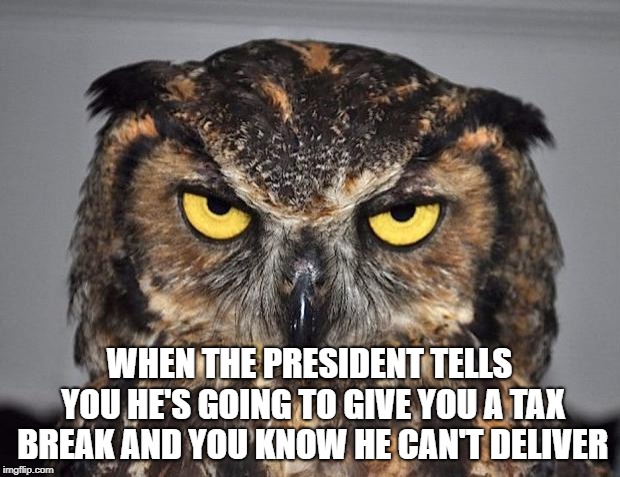 Ya, sure... | WHEN THE PRESIDENT TELLS YOU HE'S GOING TO GIVE YOU A TAX BREAK AND YOU KNOW HE CAN'T DELIVER | image tagged in angry owl,president trump,liar liar,midterms,political meme | made w/ Imgflip meme maker