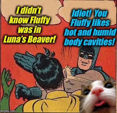 Batman Slapping Robin Meme | I didn’t know Fluffy was in Luna’s Beaver! Idiot!  You Fluffy likes hot and humid body cavities! | image tagged in memes,batman slapping robin | made w/ Imgflip meme maker