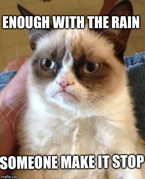 Grumpy Cat Meme |  ENOUGH WITH THE RAIN; SOMEONE MAKE IT STOP | image tagged in memes,grumpy cat | made w/ Imgflip meme maker