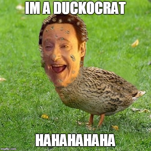 Because Datas don't duck around! | IM A DUCKOCRAT; HAHAHAHAHA | image tagged in the data duck,duckamatic immunity,duck off,go duck yourself | made w/ Imgflip meme maker