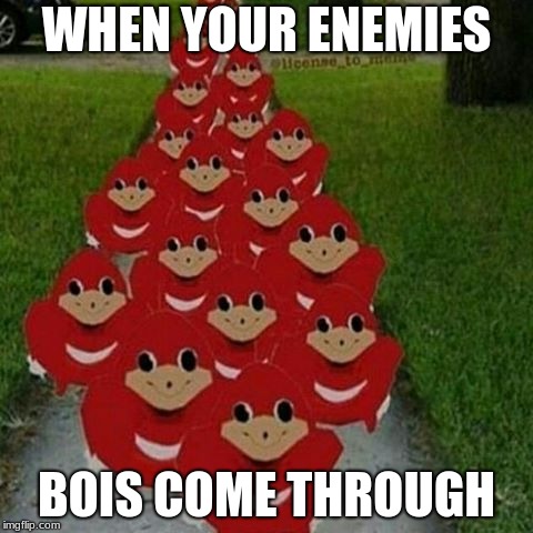 Ugandan knuckles army | WHEN YOUR ENEMIES; BOIS COME THROUGH | image tagged in ugandan knuckles army | made w/ Imgflip meme maker