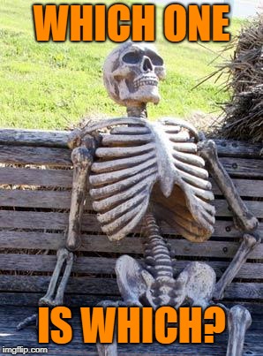 Waiting Skeleton Meme | WHICH ONE IS WHICH? | image tagged in memes,waiting skeleton | made w/ Imgflip meme maker