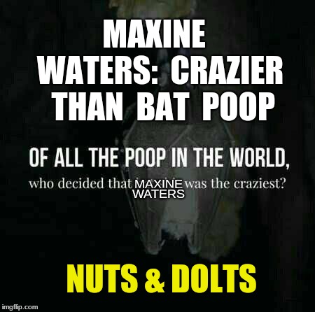 MAXINE  WATERS:  CRAZIER  THAN  BAT  POOP; MAXINE; WATERS; NUTS & DOLTS | image tagged in crazy maxine,poop | made w/ Imgflip meme maker