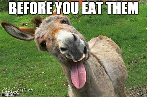Laughing Donkey | BEFORE YOU EAT THEM | image tagged in laughing donkey | made w/ Imgflip meme maker