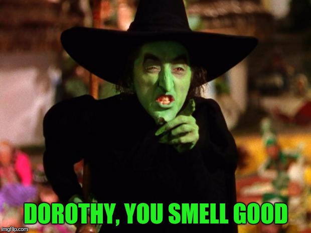 wicked witch  | DOROTHY, YOU SMELL GOOD | image tagged in wicked witch | made w/ Imgflip meme maker