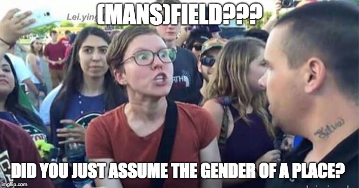 Did you just assume my gender | (MANS)FIELD??? DID YOU JUST ASSUME THE GENDER OF A PLACE? | image tagged in did you just assume my gender | made w/ Imgflip meme maker