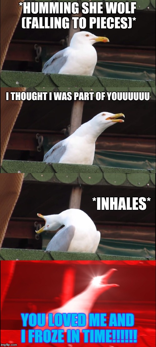 Inhaling Seagull | *HUMMING SHE WOLF (FALLING TO PIECES)*; I THOUGHT I WAS PART OF YOUUUUUU; *INHALES*; YOU LOVED ME AND I FROZE IN TIME!!!!!! | image tagged in memes,inhaling seagull | made w/ Imgflip meme maker