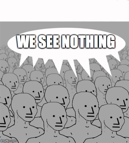 NPCProgramScreed | WE SEE NOTHING | image tagged in npcprogramscreed | made w/ Imgflip meme maker