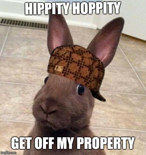 Really? Rabbit | HIPPITY HOPPITY; GET OFF MY PROPERTY | image tagged in really rabbit,scumbag | made w/ Imgflip meme maker