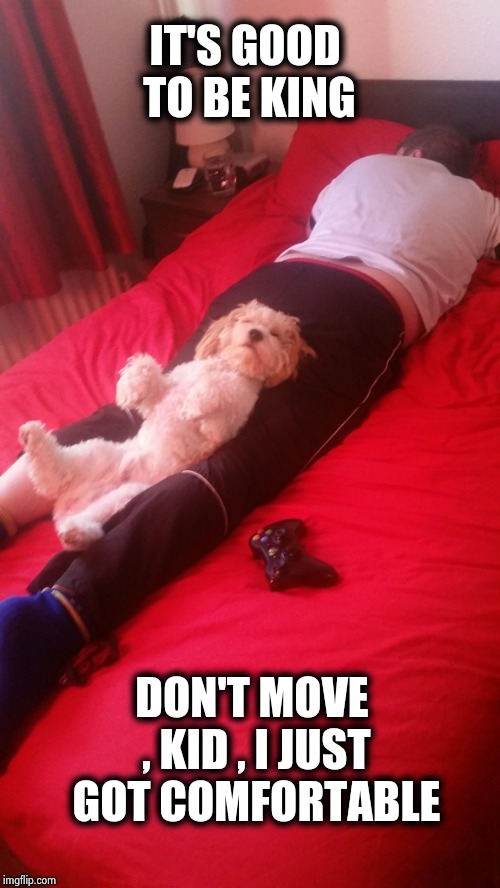 He was only playing Fortnite anyway | IT'S GOOD TO BE KING; DON'T MOVE , KID , I JUST GOT COMFORTABLE | image tagged in king of the dogs,the most interesting dog in the world,comfort,pets | made w/ Imgflip meme maker