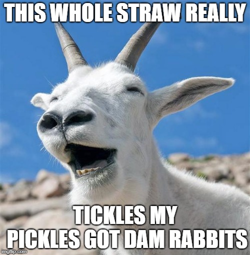 Laughing Goat | THIS WHOLE STRAW REALLY; TICKLES MY PICKLES GOT DAM RABBITS | image tagged in memes,laughing goat | made w/ Imgflip meme maker