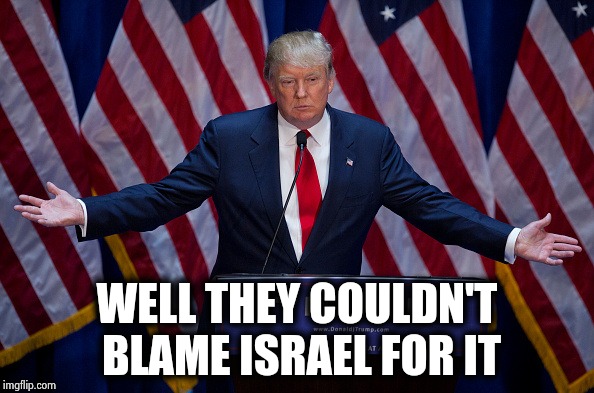 Donald Trump | WELL THEY COULDN'T BLAME ISRAEL FOR IT | image tagged in donald trump | made w/ Imgflip meme maker