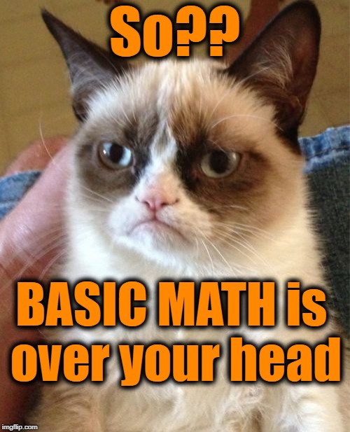 Grumpy Cat Meme | So?? BASIC MATH is over your head | image tagged in memes,grumpy cat | made w/ Imgflip meme maker