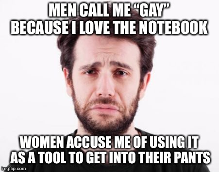 First World Problems Guy | MEN CALL ME “GAY” BECAUSE I LOVE THE NOTEBOOK; WOMEN ACCUSE ME OF USING IT AS A TOOL TO GET INTO THEIR PANTS | image tagged in first world problems guy | made w/ Imgflip meme maker