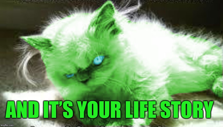 mad raycat | AND IT’S YOUR LIFE STORY | image tagged in mad raycat | made w/ Imgflip meme maker