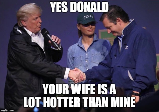 Cruz Grovelling | YES DONALD; YOUR WIFE IS A LOT HOTTER THAN MINE | image tagged in ted cruz,donald trump,president trump,melania trump,political meme | made w/ Imgflip meme maker