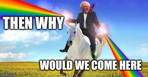 Bernie Sanders on magical unicorn | THEN WHY WOULD WE COME HERE | image tagged in bernie sanders on magical unicorn | made w/ Imgflip meme maker