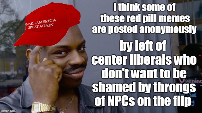 People looking for affirmation in the simulation don't want to be publicly shamed but they will vote conservative! | I think some of these red pill memes are posted anonymously by left of center liberals who don't want to be shamed by throngs of NPCs on the | image tagged in memes,roll safe think about it,red pill,maga,walkaway | made w/ Imgflip meme maker