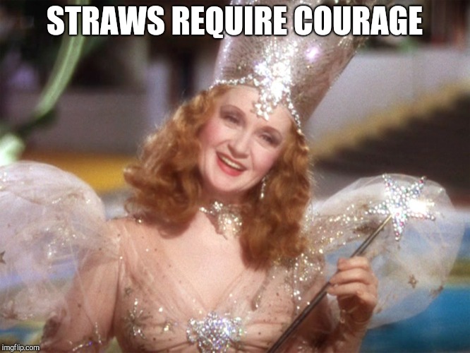 good witch wizard of oz neoliberalism meme | STRAWS REQUIRE COURAGE | image tagged in good witch wizard of oz neoliberalism meme | made w/ Imgflip meme maker