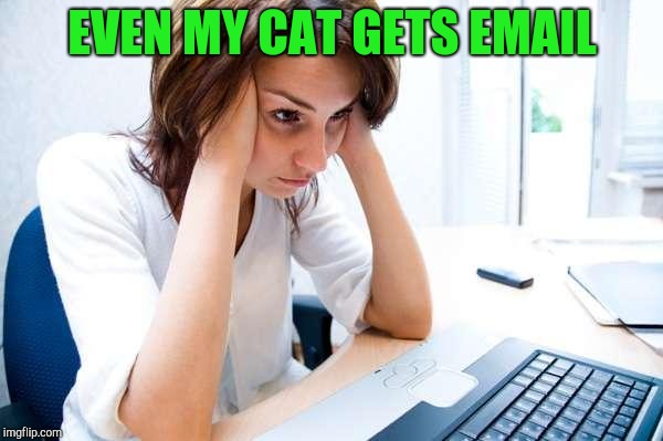 Frustrated at Computer | EVEN MY CAT GETS EMAIL | image tagged in frustrated at computer | made w/ Imgflip meme maker