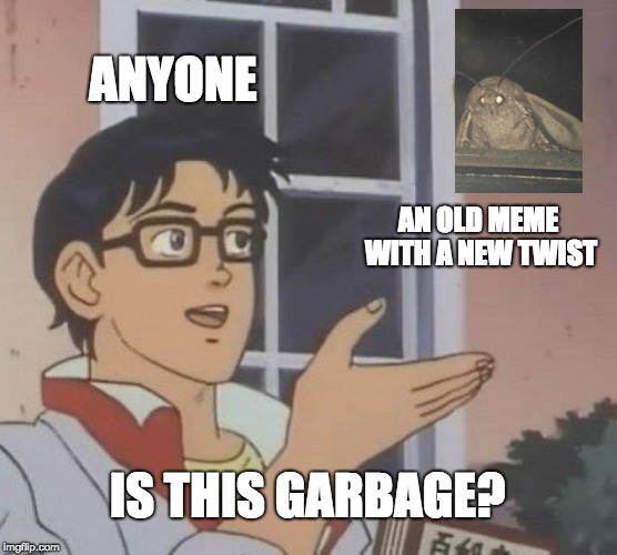 Is This A Pigeon | ANYONE; AN OLD MEME WITH A NEW TWIST; IS THIS GARBAGE? | image tagged in memes,is this a pigeon | made w/ Imgflip meme maker
