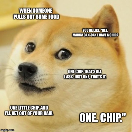 Doge Meme | WHEN SOMEONE PULLS OUT SOME FOOD; YOU BE LIKE, "HEY, MARK? CAN-CAN I HAVE A CHIP? ONE CHIP, THAT'S ALL I ASK. JUST ONE, THAT'S IT. ONE LITTLE CHIP, AND I'LL GET OUT OF YOUR HAIR. ONE. CHIP." | image tagged in memes,doge | made w/ Imgflip meme maker