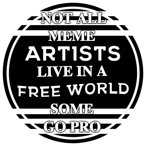 Only if you can afford it! | . | image tagged in go pro,artists,imgflip pro | made w/ Imgflip meme maker