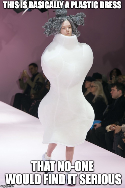 Plastic Dress | THIS IS BASICALLY A PLASTIC DRESS; THAT NO-ONE WOULD FIND IT SERIOUS | image tagged in runway fashion,funny,memes | made w/ Imgflip meme maker