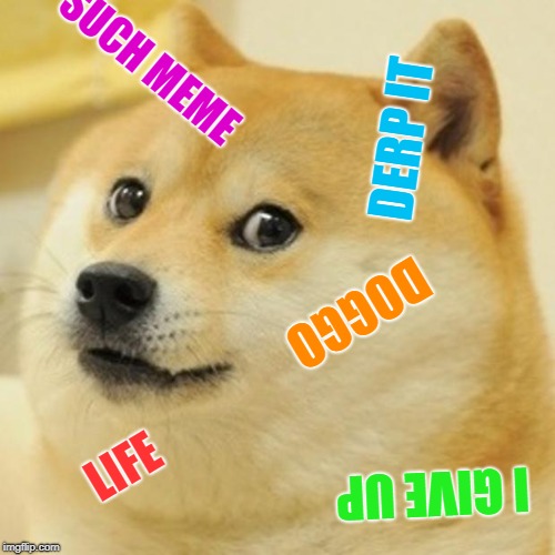 Doge Meme | SUCH MEME; DERP IT; DOGGO; LIFE; I GIVE UP | image tagged in memes,doge | made w/ Imgflip meme maker