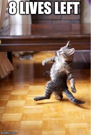 Walking Cat | 8 LIVES LEFT | image tagged in walking cat | made w/ Imgflip meme maker
