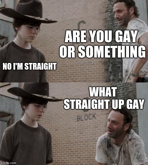 Rick and Carl | ARE YOU GAY OR SOMETHING; NO I'M STRAIGHT; WHAT STRAIGHT UP GAY | image tagged in memes,rick and carl | made w/ Imgflip meme maker