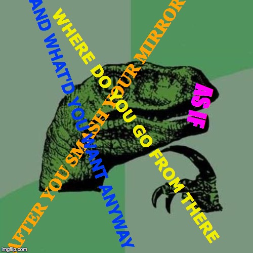 Raptiphize | AS IF; WHERE DO YOU GO FROM THERE; AND WHAT'D YOU WANT ANYWAY; AFTER YOU SMASH YOUR MIRROR | image tagged in mirror,this is where the fun begins,philosiraptor meme,memes,no brakes,philosoraptor | made w/ Imgflip meme maker